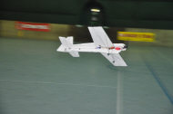 4dsc8137.jpg (70643 bytes)