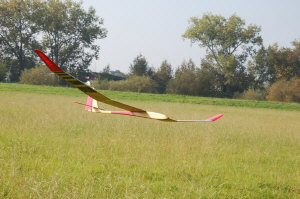 fish-meadow-eliminator.jpg (133467 bytes)
