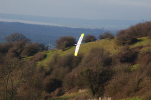 pylon-race2.jpg (99894 bytes)