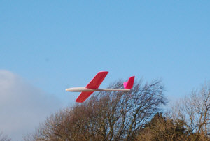 pylon-race7.jpg (99236 bytes)