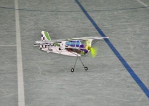 1indor9.jpg (140826 bytes)