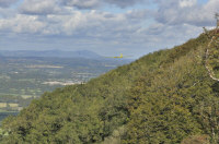 Blue-remembered-hills.jpg (120503 bytes)