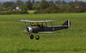 _dsc4499.jpg (111934 bytes)