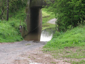bridge.jpg (83579 bytes)