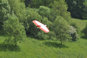 guy-frocester-weasel frocester2.jpg (98549 bytes)