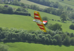 guy-frocester-weasel frocester.jpg (81513 bytes)