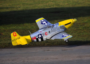 pete-mustang-minch6.jpg (144032 bytes)