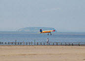 sept2-beech.jpg (44214 bytes)