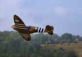 Spitfire photo. Click for bigger image