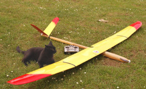 glider1.jpg (199068 bytes)