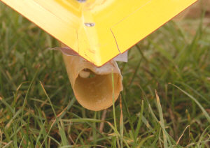 glider3.jpg (97631 bytes)