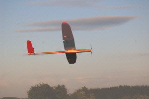 glider4.jpg (54559 bytes)